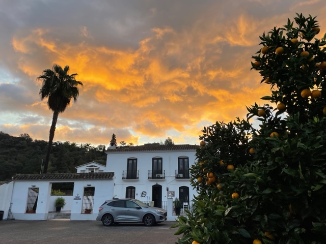 Sonnenuntergang hinter Gasthaus mit Orangenbaum